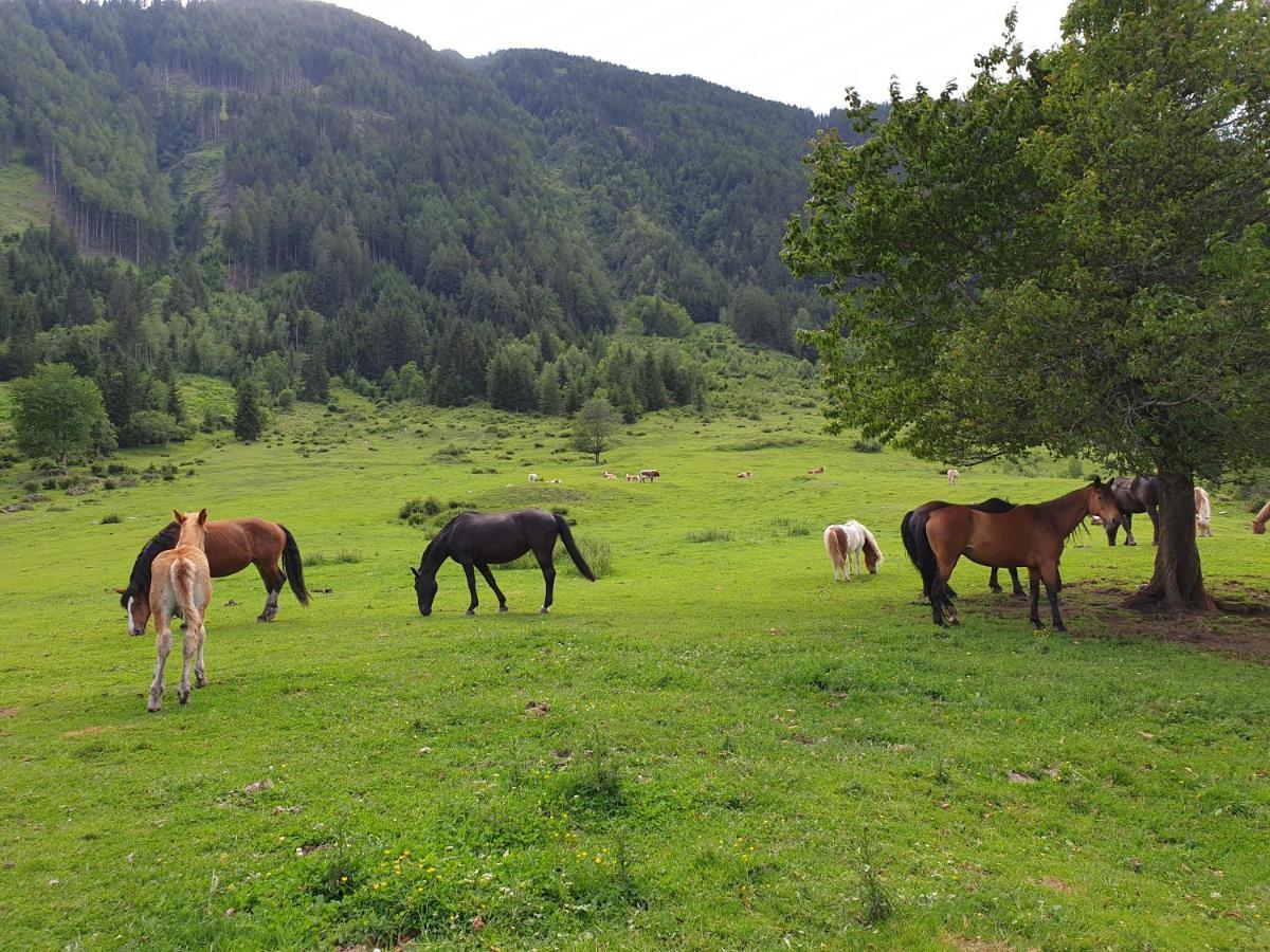 Pongitzerhof Villa Matrei in Osttirol Luaran gambar
